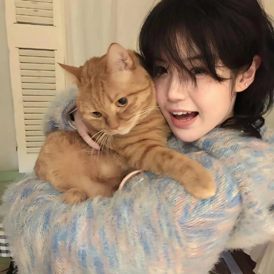 这个夏天有异性粤语